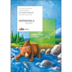 Matematika 4. I. kötet
