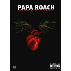 DVD Papa Roach: Live & Murderous In Chicago