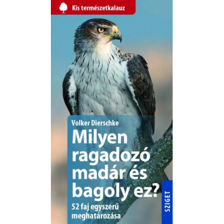 Milyen ragadozó madár és bagoly ez?