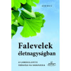 Falevelek életnagyságban