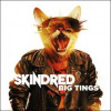 CD Skindred: Big Tings (Limited Digipak)