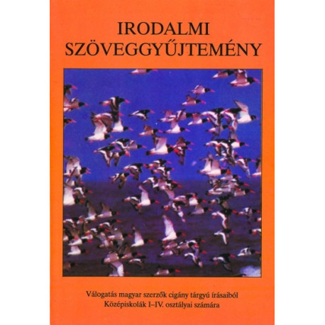 Irodalmi szöveggyűjtemény I.