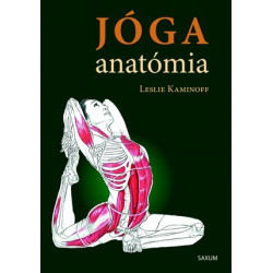 Jóga anatómia