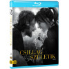 Blu-ray Csillag születik