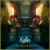 CD Korn: The Paradigm Shift (Limited CD+DVD Digipak Edition)