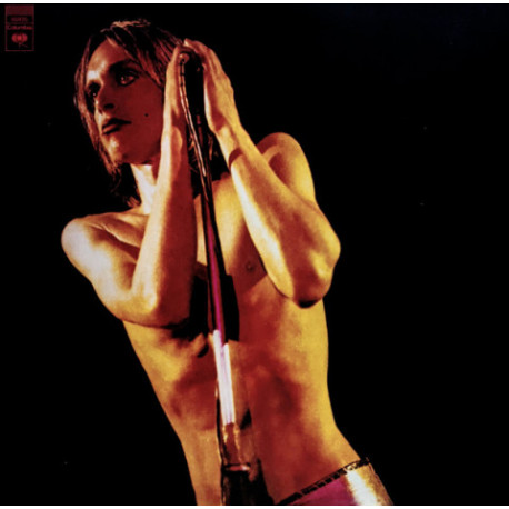 LP Iggy and the Stooges: Raw Power (Special Edition 2LP+16-page booklet)