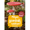 Milyen gombát találtam - 85 gombafaj