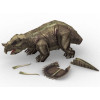 3D puzzle - Triceratops 44 darabos