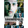 DVD Zuhanórepülés