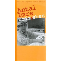 Antal Imre krízisben