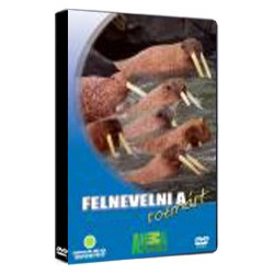 DVD Felnevelni a rozmárt