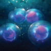 CD At Night I Fly: collision/fusion/division (Digipak)