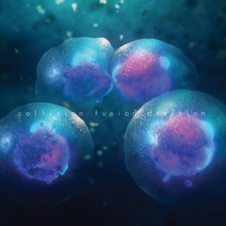 CD At Night I Fly: collision/fusion/division (Digipak)