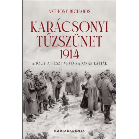 Karácsonyi tűzszünet, 1914 - Ahogy a részt vevő katonák látták