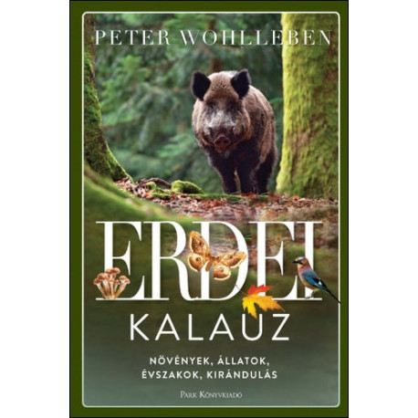Erdei kalauz - Növények, állatok, évszakok, kirándulás