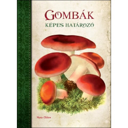 Képes határozó: Gombák