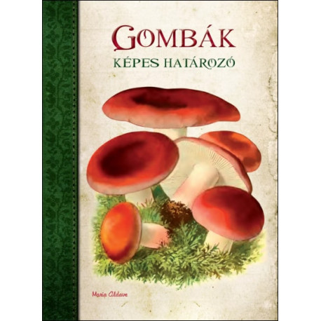 Képes határozó: Gombák