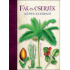 Képes határozó: Fák és cserjék