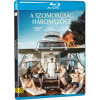 Blu-ray A szomorúság háromszöge