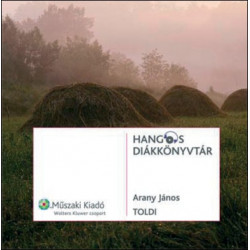 Toldi hangoskönyv
