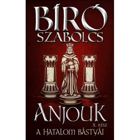 Anjouk X. - A hatalom bástyái