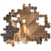 Macskaszerelem kompakt puzzle 500 darabos