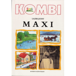 Kombi Maxi