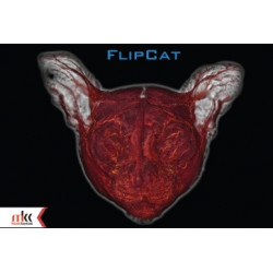 FlipCat