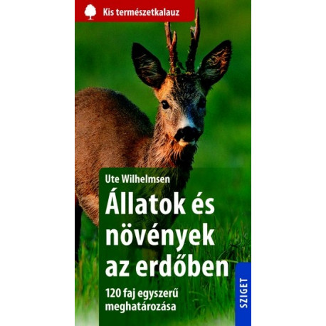 Állatok és növények az erdőben
