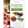 Gazdálkodás a vendéglátásban példatár